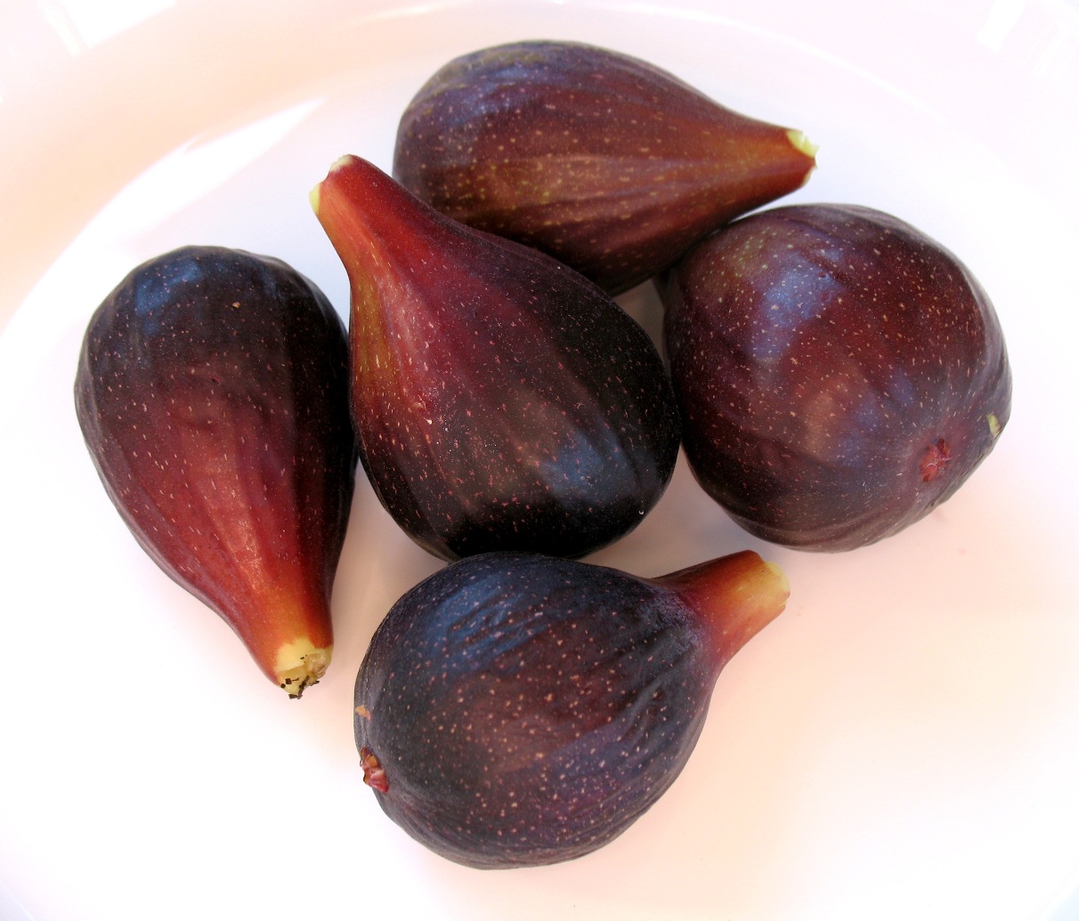 figs