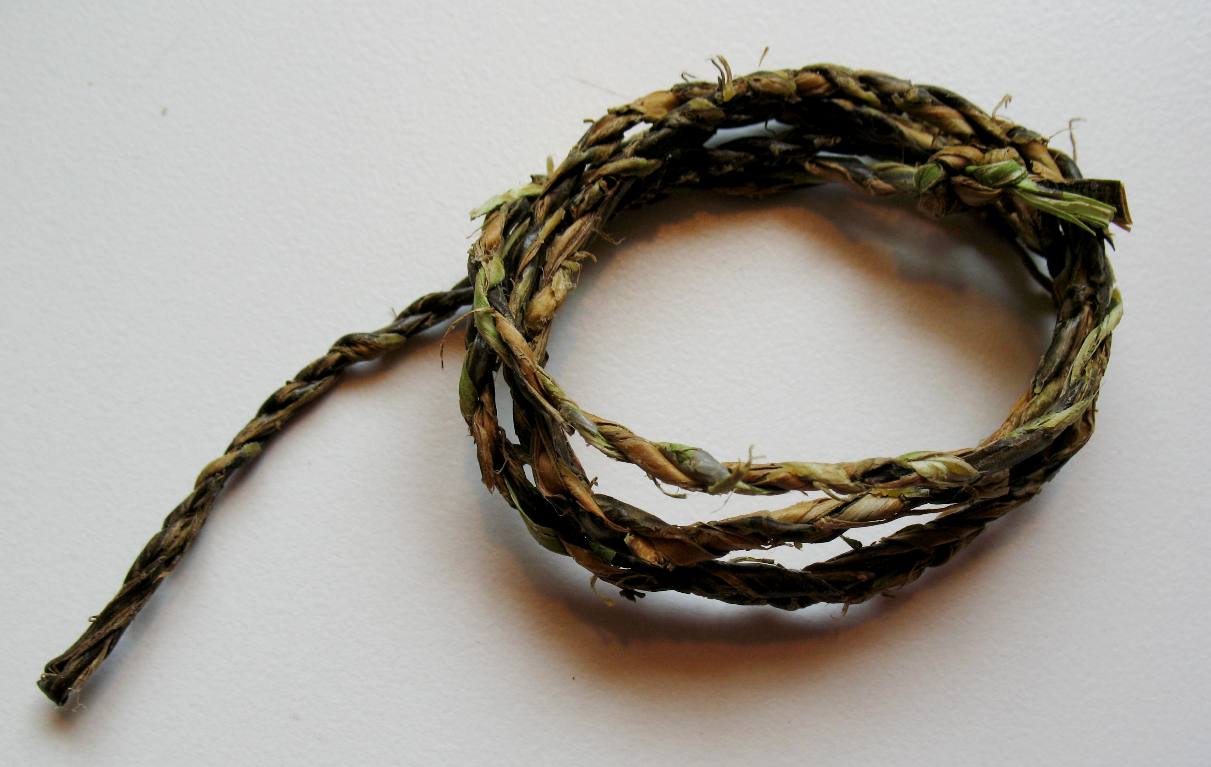 maple cordage