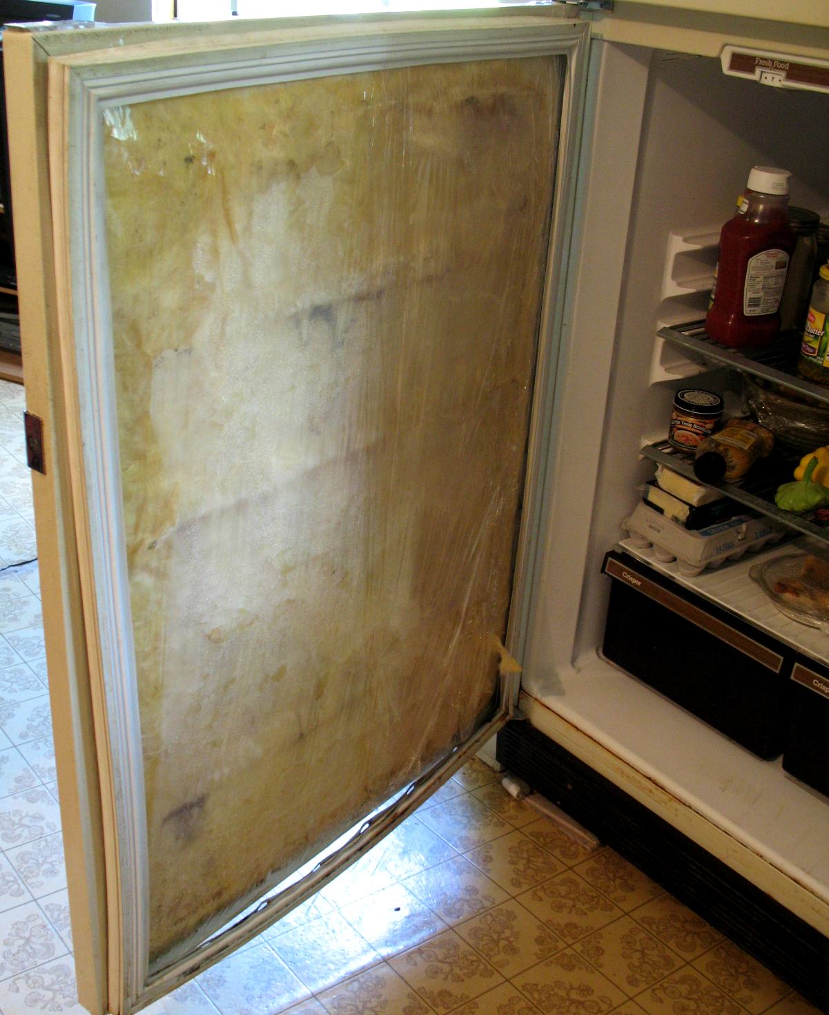 fridge door