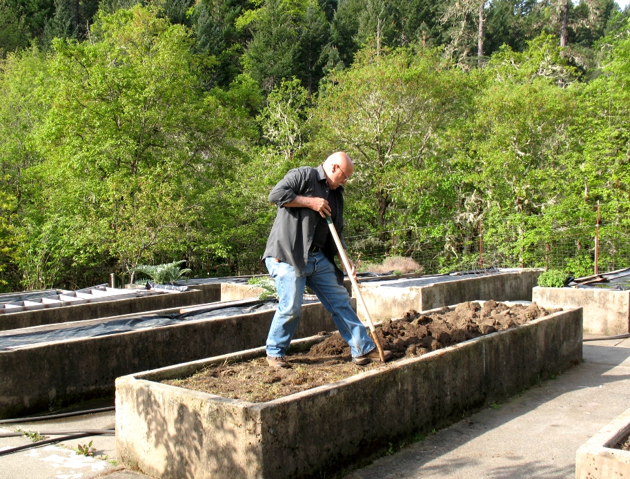 garden