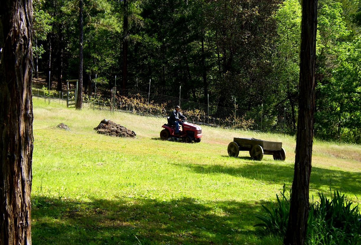 Mowing