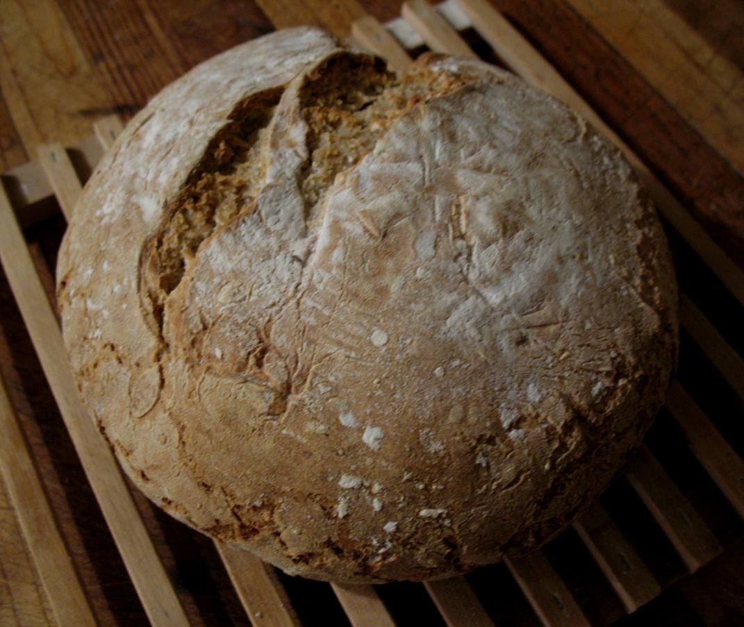 Sour Dough Bread