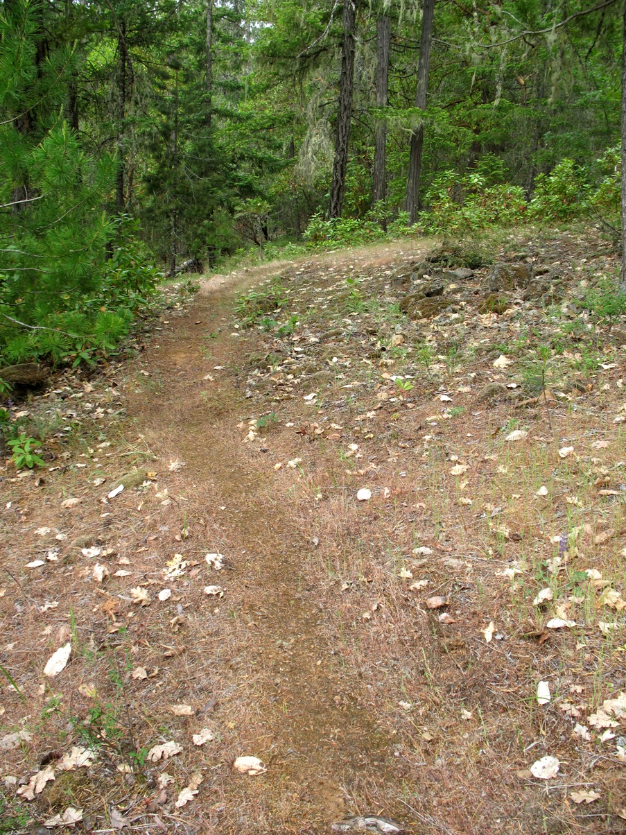 trail